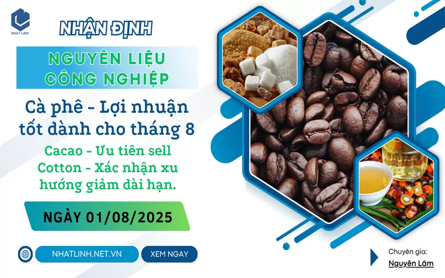 NHẬN ĐỊNH: NHÓM NGUYÊN LIỆU - CÔNG NGHIỆP NGÀY 01/08/2025